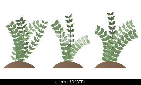 Natur Pflanzen Illustrationen Sammlung Grüne Blätter Sträucher Elemente Set. Vektorkonstruktion Stock Vektor