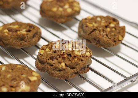 Hausgemachte Schokoladen-Chips-Cookies mit Nüssen, die auf einem Metallgestell gekühlt werden Stockfoto