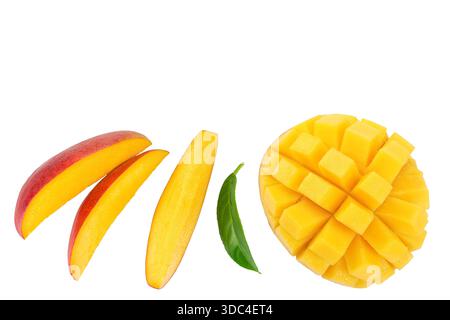 Mangoblätter isoliert auf weißem Hintergrund mit voller Schärfentiefe. Draufsicht. Flache Lagen Stockfoto