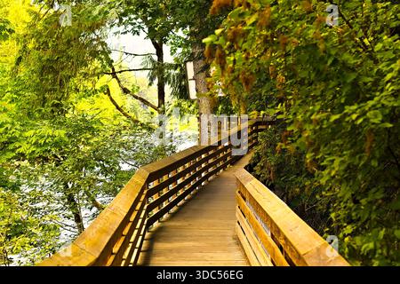 Eine hölzerne Promenade schlängelt sich durch üppige Wälder in der Nähe von Snoqualmie Falls, Washington, und bietet einen malerischen Naturpfad umgeben von Grün. Stockfoto