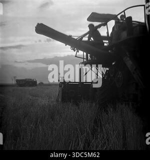Region Donezk, ukrainische SSR, UdSSR, Mitte Ende der 1970er Jahre Stimmungsvolles Schwarzweiß-Archivfoto eines sowjetischen Mähdreschers und eines Traktors mit einem großen Strohsammelanhänger, der auf einem Weizenfeld arbeitet. Silhouetten eines Fahrers in der Kabine und eines Arbeiters, der auf den Stoppeln vor einem dramatischen Abendhimmel läuft. Eine Szene kollektiver Bauernarbeit und industrieller Landwirtschaft in der offenen Steppe. Authentische Vintage-Filmfotografie, die die intensive Erntezeit darstellt. Stockfoto