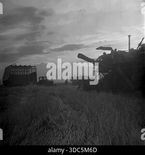 Region Donezk, ukrainische SSR, UdSSR, Mitte Ende der 1970er Jahre Stimmungsvolles Schwarzweiß-Archivfoto eines sowjetischen Mähdreschers und eines Traktors mit einem großen Strohsammelanhänger, der auf einem Weizenfeld arbeitet. Silhouetten eines Fahrers in der Kabine und eines Arbeiters, der auf den Stoppeln vor einem dramatischen Abendhimmel läuft. Eine Szene kollektiver Bauernarbeit und industrieller Landwirtschaft in der offenen Steppe. Authentische Vintage-Filmfotografie, die die intensive Erntezeit darstellt. Stockfoto