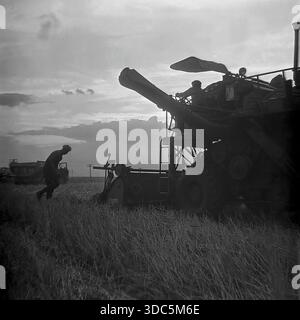 Region Donezk, ukrainische SSR, UdSSR, Mitte Ende der 1970er Jahre Stimmungsvolles Schwarzweiß-Archivfoto eines sowjetischen Mähdreschers und eines Traktors mit einem großen Strohsammelanhänger, der auf einem Weizenfeld arbeitet. Silhouetten eines Fahrers in der Kabine und eines Arbeiters, der auf den Stoppeln vor einem dramatischen Abendhimmel läuft. Eine Szene kollektiver Bauernarbeit und industrieller Landwirtschaft in der offenen Steppe. Authentische Vintage-Filmfotografie, die die intensive Erntezeit darstellt. Stockfoto