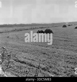 Region Donezk, ukrainische SSR, UdSSR, Mitte Ende der 1970er Jahre Atmosphärisches Schwarzweiß-Archivfoto von Landarbeitern, die während der Ernte auf einem Feld ruhten. Eine kleine Gruppe von Menschen sitzt auf dem Boden in der Nähe eines Heuhaufens für eine Mittagspause. Die weite Wiese ist mit Heuhaufen gesäumt, die sich bis zu einem entfernten Waldgürtel erstrecken. Eine freimütige Szene des ländlichen Alltags und der Wehenpause in der Steppe. Authentische Vintage-Filmfotografie. Stockfoto