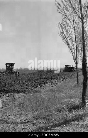 Region Donezk, ukrainische SSR, UdSSR, Mitte Ende der 1970er Jahre Stimmungsvolles Schwarz-weiß-Archivfoto der Frühjahrsfeldarbeit. Zwei sowjetische caterpillar-Traktoren (Typ DT-54 oder T-74) ziehen landwirtschaftliche Arbeitsgeräte (Eggen) über ein gepflügtes Feld. Junge Bäume im Vordergrund bilden die Szene und verleihen der Komposition Tiefe. Ein klassischer Blick auf Bodenbearbeitung und Mechanisierung in der Nähe eines Waldschutzgürtels. Stockfoto
