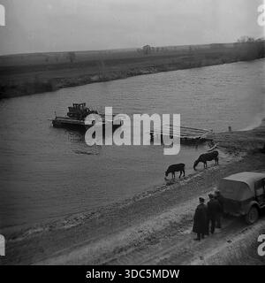 Region Donezk, ukrainische SSR, UdSSR, Mitte Ende der 1970er Jahre Stimmungsvolles Schwarz-weiß-Archivfoto einer ländlichen Flussüberquerung. Eine hölzerne Seilfähre transportiert einen schweren Raupenschlepper zur anderen Bank für Feldarbeiten. Am matschigen Ufer steht ein sowjetisches Geländefahrzeug GAZ-69, und Kühe trinken Wasser aus dem Fluss. Männer stehen in der Nähe und beobachten den Prozess. Eine Szene der landwirtschaftlichen Logistik und Infrastruktur in der abgelegenen Landschaft. Authentische Vintage-Filmfotografie des täglichen Lebens. Stockfoto