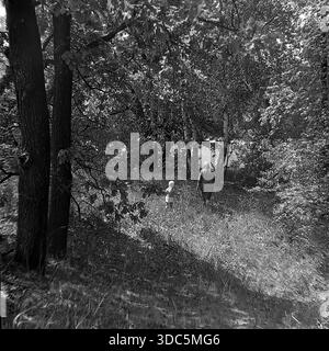 Region Donezk, ukrainische SSR, UdSSR, Mitte Ende der 1970er Jahre Stimmungsvolles Schwarz-weiß-Archivfoto einer Mutter und eines kleinen Kindes, die in einen dichten Wald gehen. Rückansicht. Das Sonnenlicht durchströmt das Baldachin von Eichen und Birken und erzeugt auf dem hohen Gras schattige Schatten. Eine friedliche Szene mit ländlicher Familienurlaub und Naturerlebnissen im Sommer. Authentische Vintage-Filmfotografie. Stockfoto