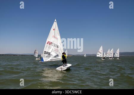 Segelregatta während der serbischen Meisterschaft in Optimist und ILCA 6 Klassen auf der Donau bei Golubac. Stockfoto
