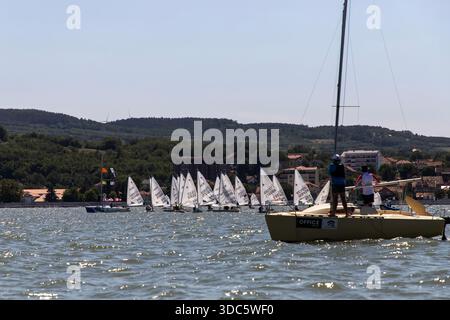 Segelregatta während der serbischen Meisterschaft in Optimist und ILCA 6 Klassen auf der Donau bei Golubac. Stockfoto