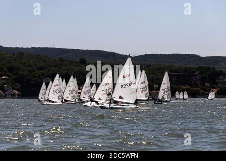 Segelregatta während der serbischen Meisterschaft in Optimist und ILCA 6 Klassen auf der Donau bei Golubac. Stockfoto