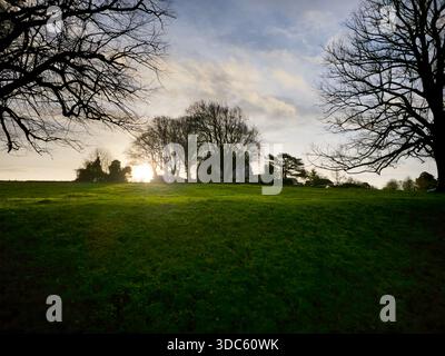 Lone Tree in Green Field at Sunset, englische Landschaft Stockfoto