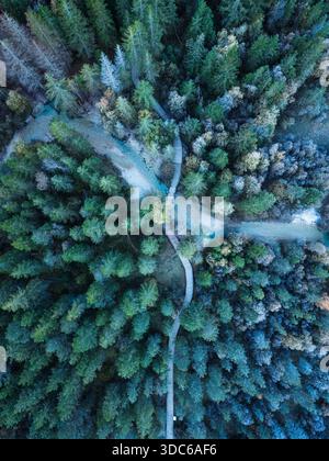 Blick von oben auf den kalten dichten Nadelwald mit seinen natürlichen Texturen mit verwinkelten Gletscherfluss und Holzweg im frühen Winter Stockfoto