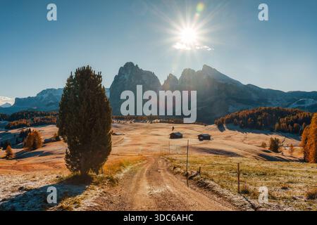 Am frühen Morgen Szene der Seiser Alm mit frostiger Herbstwiese, urigen Hütten und Bäumen in den Dolomiten, Italien Stockfoto