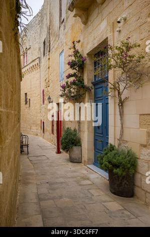 Eine ruhige Straße in Mdina, Malta, zeigt die historische Architektur der Stadt. Die blaue Tür und die Topfpflanzen verleihen Charme und laden zum Erkunden dieses an ein Stockfoto