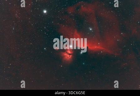 Wimbledon, London, Großbritannien. Dezember 2025. Langzeitaufnahme (2,5 Stunden) des Flammennebels und des Pferdekopfnebels mit einem kombinierten schmalbandigen H-alpha- und OIII-Filter an einem Teleskop am klaren Winterhimmel über London. Der helle Stern Alnitak, der untere Stern des Orionengürtels, ist von beiden Nebeln umgeben, wobei der dunkle Horsehead-Nebel scharf aus dem Hintergrundglühen von IC 434 abhebt. Quelle: Malcolm Park/Alamy Live News Stockfoto