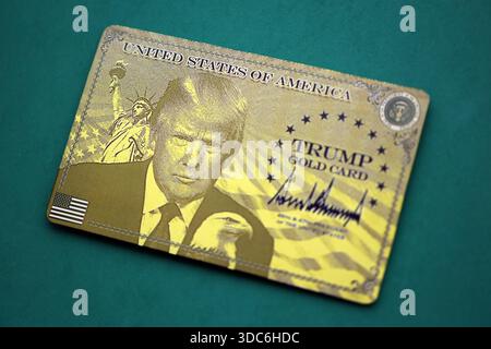 KIEW, UKRAINE - 13. DEZEMBER 2025 Trump Goldkarte Souvenir auf grüner Farbe Hintergrund Oberfläche Nahaufnahme Stockfoto
