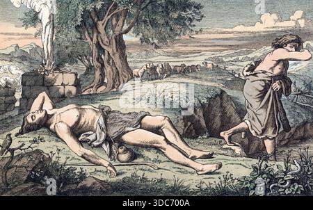 Szene aus der biblischen Geschichte, Kain und Abel, eine zentrale Geschichte aus der Genesis, der Bibel, in der Ackerbauer Kain seinen Bruder Abel Stockfoto