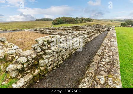 Housesteads Roman Fort, Hadrianswall, Northumberland, England, Vereinigtes Königreich Stockfoto