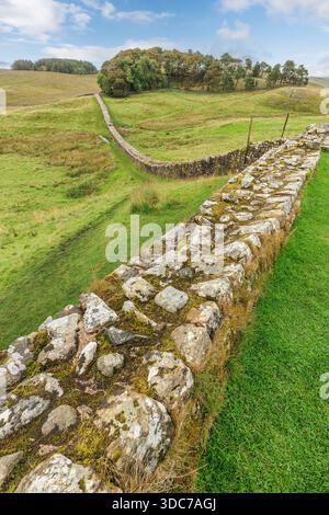 Hadrian's Wall in Housesteads Roman Fort, Northumberland, England, Großbritannien Stockfoto