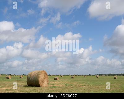 Großer runder Heuballen auf einem Feld im Vordergrund mit mehreren Ballen im Abstand. Blauer Himmel mit flauschigen weißen Wolken darüber. Fotografiert auf dem Ou Stockfoto