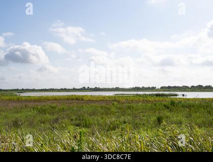 Ein Blick auf den Marsch und den Warren Lake von der Matt Cook Memorial Wildlife Viewing Platform in der Nähe von Hockley, Texas. Stockfoto