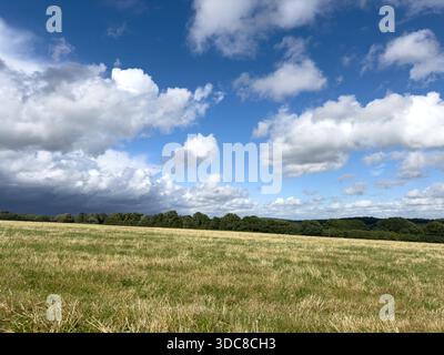 Goldenes Gras und sich sammelnde Wolken über Crowborough, East Sussex – ein ruhiger Moment im ländlichen England Stockfoto