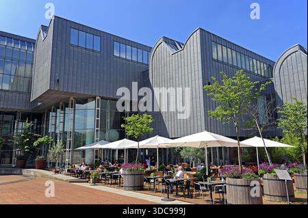 Gastronomie vor dem Museum Ludwig, einem Museum für moderne Kunst, Köln, Köln, Rheinland, Nordrhein-Westfalen, Deutschland Stockfoto