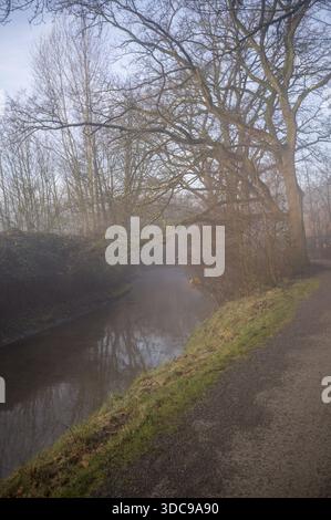 Der Fluss fließt langsam durch einen nebeligen Winterwald mit einem gewundenen Pfad Stockfoto