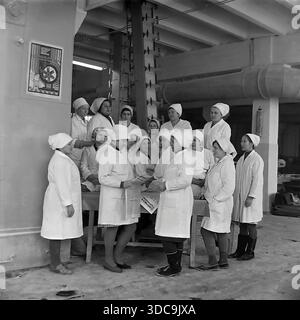 Slaviansk, Ukrainische SSR, UdSSR – 1981: Archivfoto einer großen Gruppe weiblicher Arbeiter in weißen Sanitärmänteln und Kopftüchern, die sich in der Fabrikhalle versammelten. Eine Frau liest ihren Kollegen während einer Pause die neuesten Nachrichten aus einer Zeitung vor. Diese Szene zeigt eine traditionelle „politische Informationsveranstaltung“, die ideologische Arbeit und den kollektiven Geist der Arbeiterklasse in der friedlichen Donbass-Region während der späten sowjetischen Ära beleuchtet. Stockfoto