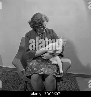 Slawjansk, Ukrainische SSR, UdSSR - 1981: Ehrliches Archivporträt der Abgeordneten Ljudmila Schudinova, die mit ihrer weißen Katze zu Hause spielt. In einer formellen Jacke, die mit dem Ehrenorden und anderen sowjetischen Auszeichnungen verziert ist, lächelt sie ihr Haustier herzlich an. Dieses Bild zeigt die menschliche Seite eines Regierungsbeamten und die gemütliche häusliche Atmosphäre in der friedlichen Donbass-Region während der späten Sowjetzeit. Stockfoto