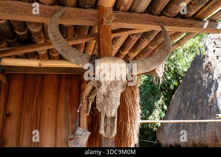 Der Schädel eines Wasserbüffels ziert eine traditionelle Holzhütte im traditionellen Dorf Bena im Hochland von Flores Island, Indonesien Stockfoto