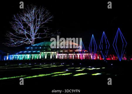 Weihnachtsbeleuchtung mit einem beleuchteten Baum in Kew Gardens, London, Großbritannien Stockfoto