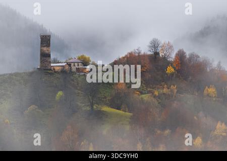 Herbstfarben im Nebel im Kaukasus in Georgia Stockfoto