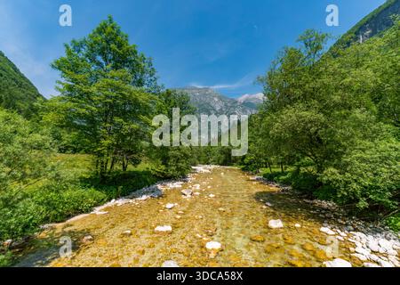 Eine ruhige Reise durch üppige Wälder und goldene Flussbetten, die Ruhe und Abenteuer im atemberaubenden Triglav Nationalpark Sloweniens wecken Stockfoto
