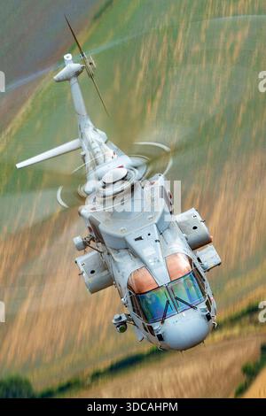 EH101-111 der Merlin HM2 Hubschrauber ZH832 der Royal Navy wird auf der RIAT gezeigt, mit zwei Turbomeca RTM322-Motoren, fünf-flügeligem Hauptrotor, Heckrotor und maritimer Betriebskonfiguration. Stockfoto