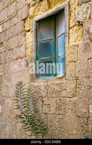Die Zeit braucht ihren Tribut. Ein altes Fenster mit abblätternder grüner Farbe sitzt in einer verwitterten Steinmauer, während Pflanzen an der Basis wachsen und die Persistenz der Natur zeigen Stockfoto