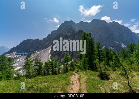Ein beschaulicher Wanderweg schlängelt sich durch üppiges Grün zu hoch aufragenden Gipfeln und fängt die unberührte Schönheit des Slovenias Triglav Nationalparks unter klarem Licht ein Stockfoto