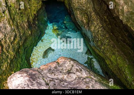 Eine ruhige Unterwasserhöhle zeigt den Ursprung des Soca Flusses, wo kristallklares türkisfarbenes Wasser auftaucht und Wunder und Ruhe in Slovenias pris weckt Stockfoto