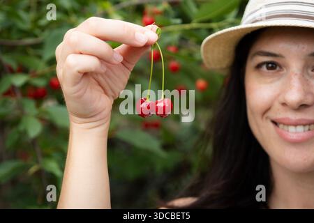 Lächelnde Frau, Die Während Der Ernte Frisch Gepflückte Kirschen Zeigt Stockfoto
