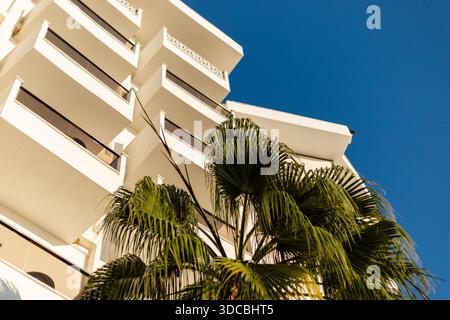 Ein hohes Gebäude mit mehreren Balkonen steht neben einer Palme. Der Himmel ist klar und blau. Die Szene zeigt einen hellen Tag an einem warmen Ort. Stockfoto