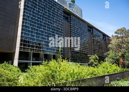 Appartementgebäude, Chippendale, Sydney, NSW, Australien Stockfoto