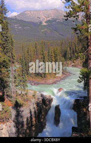 Sunwapta Falls ist ziemlich ordentlich. Ein weiterer beliebter Wasserfall im Jasper National Park. Stockfoto