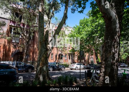 Alte Apartmentblöcke in Balfour Street, Chippendale, Sydney, NSW, Australien Stockfoto