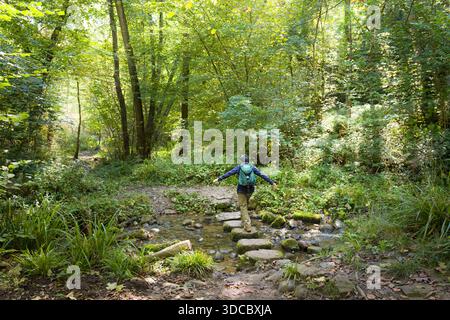 Asiatische Frau, die alleine in Hackfall Wood, Nidderdale, Yorkshire Dales, Großbritannien wandert Stockfoto