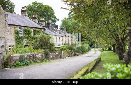 Traditionelle Steinhäuser auf einer verwinkelten Landstraße, gesäumt von Bäumen. Pateley Bridge, Yorkshire Dales, Großbritannien Stockfoto