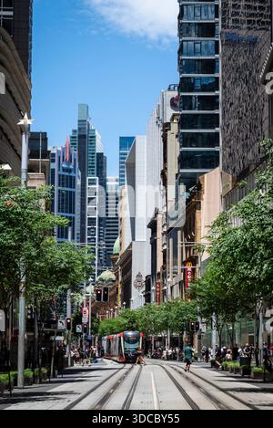George Street mit einer Straßenbahn, die sich im Central Business District, CBD, Sydney, NSW, Australien nähert Stockfoto