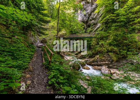 Ein beschaulicher Wanderweg schlängelt sich durch dichtes Grün zu kaskadierenden Wasserfällen und beschwört Ruhe und Abenteuer in der unberührten Wildnis Sloweniens Stockfoto
