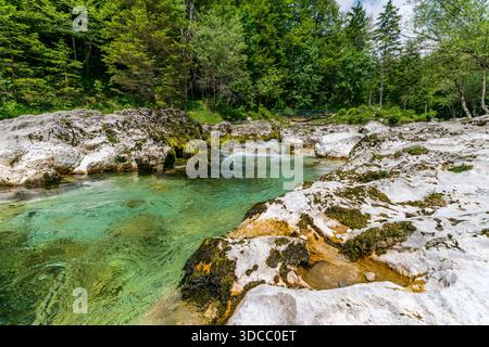 Kristallklares Wasser kaskadiert sanft über moosbedeckte Felsen in einer ruhigen Waldlandschaft, die Ruhe und natürliche Schönheit weckt Stockfoto