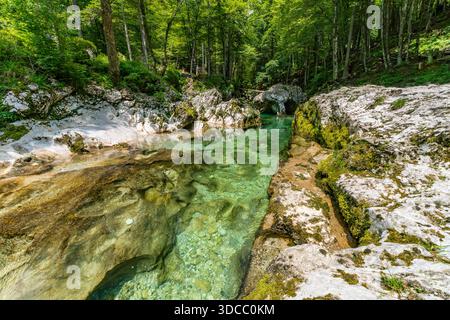 Kristallklares Wasser stürzt anmutig über moosige Felsen in einer üppigen, ruhigen Waldlandschaft, die Ruhe und natürliche Schönheit weckt Stockfoto