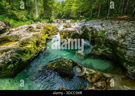 Kristallklares Wasser fließt anmutig über moosbedeckte Felsen in einer üppigen Waldlandschaft, die an Ruhe und natürliche Schönheit erinnert Stockfoto